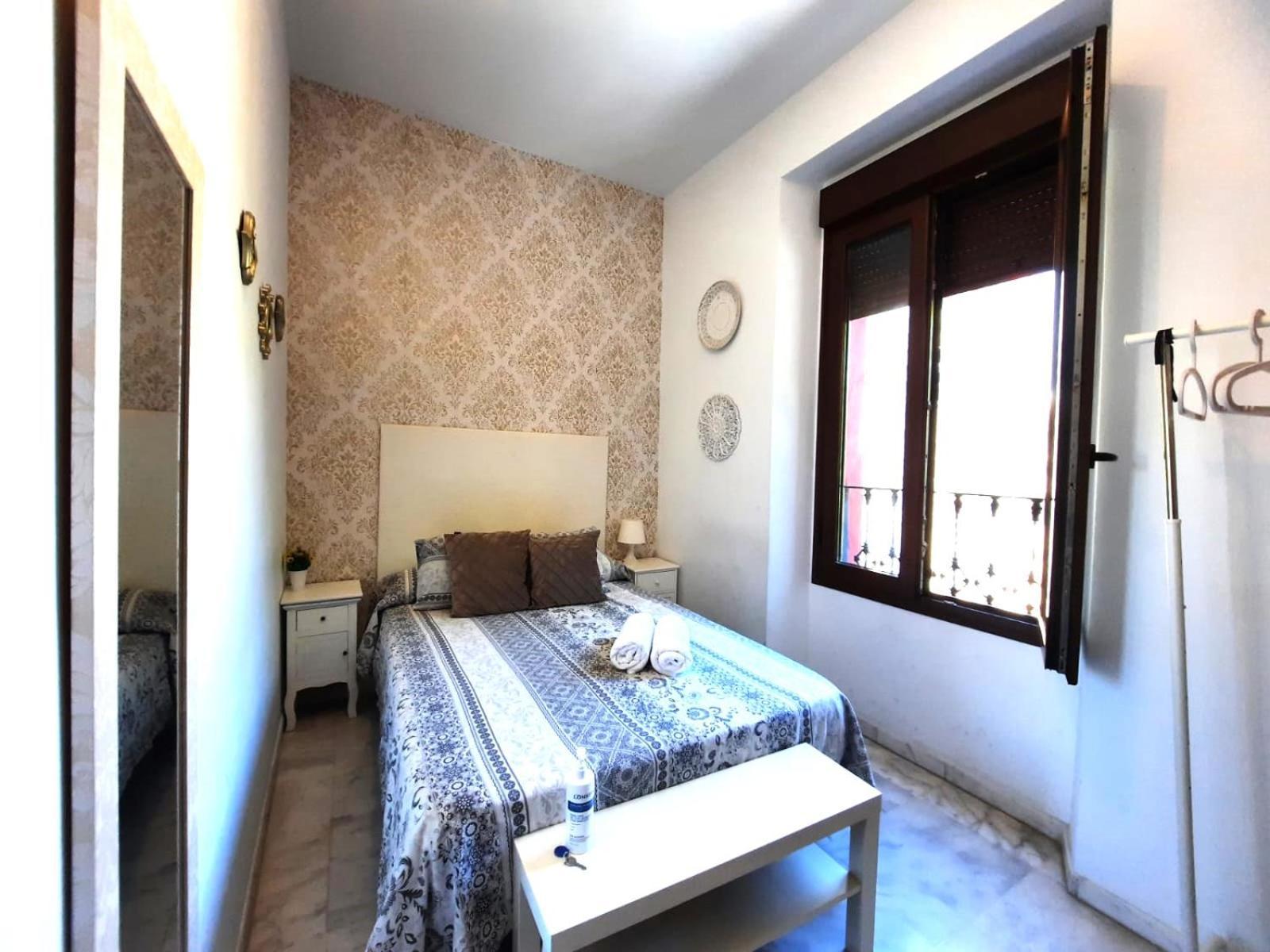 Budget & Lovely Setas Appartement *