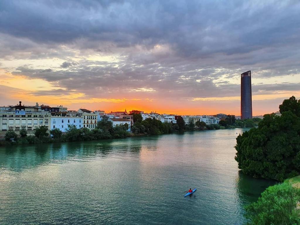 Budget & Lovely Setas Seville