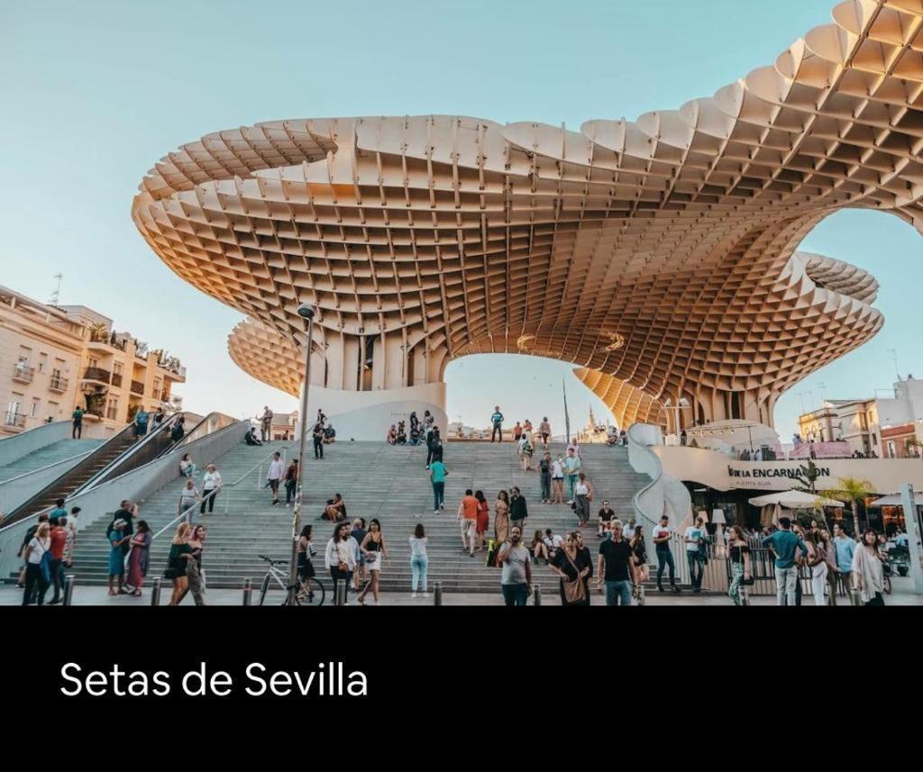 Budget & Lovely Setas * Seville