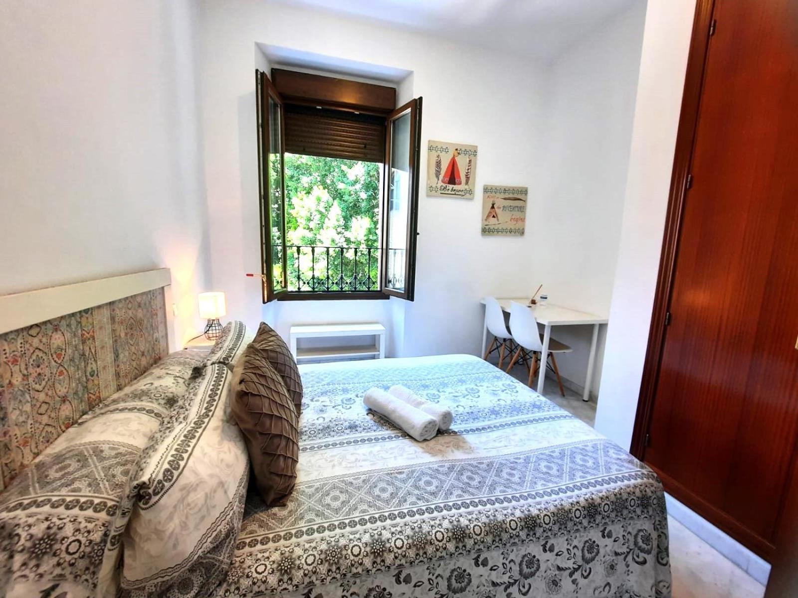 Budget & Lovely Setas Apartment